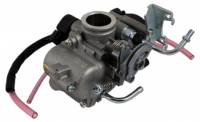 CARB-0061